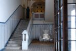 The Secret Garden of My Backyard, 2024 - Image 10